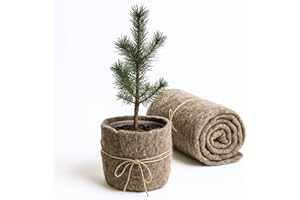 UNIGARDIA Feutre de Laine de Mouton 80 x 500 cm - Paillage Jardin 100% Naturel et Biodégradable - Tapis Sol Isolant Thermique pour Plantes - Protection Hivernale et Anti-Limaces