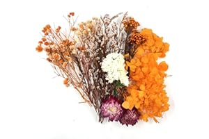 QZKJQDD Natural Dried Flowers, Real Dried Flowers, Dried Flowers for Resin, Dry Flowers for Decoration, Dried Flowers for Crafts, Candle, Soap Making, Resin, Scrapbooking, Cards Making(orange color)
