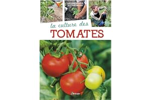 La culture des tomates