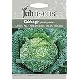 Johnsons 19545 Cabbage (Savoy) Vertus, Green