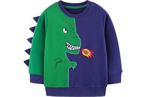 Tokeya Felpa per Bambino Ragazzo Cotone Manica Lunga Maglione Dinosauro Stampato Ricamo Pullover, Senza Cappuccio Girocollo Casual Moda Maglietta Top Bambini Abbigliamento 2-7 Anni