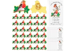 CNSJ 30 Sets Robin Gifts Memorial Robin Lapel Pin Badge Brooch Funeral Favours with Memorial Card Sympathy Remembrance Memorial Gifts for Loss Loved Ones