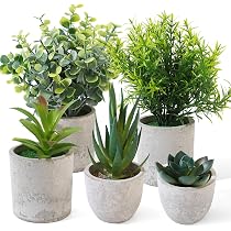 5 Stück Künstliche Pflanzen Im Topf – Grüne Deko Für Wohnzimmer, Büro & Bad, Ca. 27x20x10 Cm – Pflegeleicht