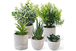 SZZHIYONG 5 Piezas Plantas Artificiales Decorativas Pequeñas, Planta Artificial de Plástico de Serpiente Suculentas, Macetas Artificiales Decoracion para Decoración Baño Hogar Cocina Dormitorio Oficina Casa