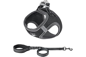 Ligo Confort - Pettorina per cani e gatti con guinzaglio. Tessuto traspirante a nido d’ape. Riflettente (S, NERO)