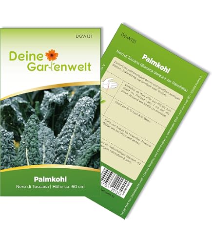 Markstammkohl - vergessenes Gemse - Brassica oleracea - 2000 Samen :  Amazon.de: Garten