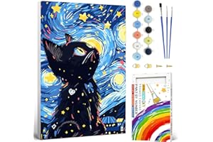 jieyisier Peinture Numero Adulte Avec Boîte Colorée,Chat Peinture par Numero Adulte Avec Cadre,Le Ciel étoilé Kits de Peinture au Numéro pour Décoration Maison et Cadeau 20x30cm