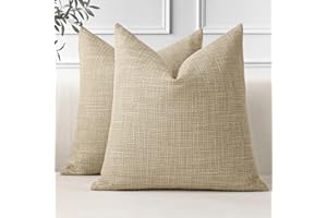 JOTOM Set di 2 federe decorative in lino, morbide, in tinta unita, moderne, per soggiorno, camera da letto (45 x 45 cm, tanica chiara)