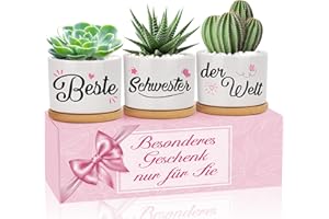 MESTECTPET Geschenke für Schwester, Beste Schwester der Welt Blumentöpfe, Geburtstag, Abschluss, Geschenk für Erwachsene, Schwester, Blumentöpfe zum Bepflanzen