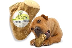 Woodbone Coffee Tree Root Dog Chew for Extra Large Dogs - Natural Wood Dental Chewing Toy - Size XL