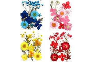 Cayway Zestaw 48 suszonych naturalnych kwiatów tłoczonych, suszonych kwiatów z żywicy, suszone kwiaty tłoczone do świec, DIY, biżuteria, żywica