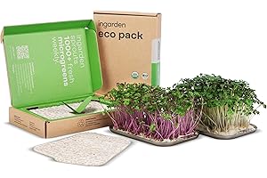 ingarden Microgreen Superfood Rucola Keimsaat Pads - Nährstoffreicher Energie-Booster | Bio-zertifiziert | In nur 1 Woche vollständig gewachsen | 1 Monat Saatgutvorrat