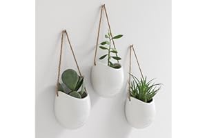 Kazai. Macetas de Pared -Ellie- | Macetas Colgantes De Cerámica | 3 Piezas | Decoración de Pared para Interiores, Balcones y Jardines | Blanco (Brillante)