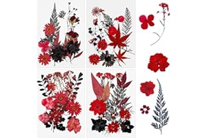 Cayway 64 szt. Suszone kwiaty i liście do sztuki z żywicy, prawdziwe czerwone i czarne tłoczone, naturalne, rękodzieło i Boże Narodzenie (czerwono-czarny-1)