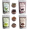 Herbalgram Amla Reetha Shikakai Bhringraj 400gm Raw Dried Flowers and Leaves Whole for Hair Care & Shine Pure Combo Pack of 4 x 100gm Each