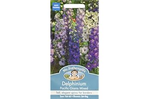 MR FOTHERGILLS Mr Fothergill's 12479 Flower Seeds, Delphinium Pacific Giants Mixed