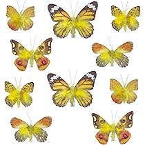 12 Farfalle Decorative Con Clip - Multicolore Per Tavolo E Feste | Decorazione Autunnale E Primaverile 12 Cm - Foto 11