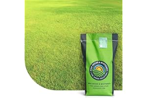 MRS SEEDS & MIXTURES Dry & Strong: Semences de gazon pour terrains secs - 2 kg pour 100 m² - Résiste à la chaleur et à la sécheresse - Économique en arrosage