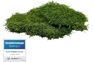 GJS Moos-Platten - konserviertes Flachmoos zum Basteln, Deko & DIY, ideal für künstliche Bilder, Pflanzen-Wand, Kunst, Terrarium, Weihnachten (Krippe, Adventskranz) und Ostern (Gras im Nest) (200 g)