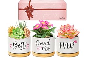 PANDASCH Grandma Gifts, Grandma Christmas Birthday Gifts, Best Grandma Ever Succulent Pots Gifts for Grandma from Grandchildren, Great Presents for Grandma on Christmas Birthday Mother's Day