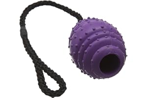 Classic Pet Products Rubber Oval Ball on a Rope, Large, 100 mm, Purple/Black
