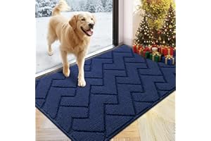 Biscpro Wycieraczka do użytku wewnątrz i na zewnątrz, dywan wejściowy, mata zatrzymująca brud, antypoślizgowa, mata pod drzwi, dywan do przedpokoju, ogrodu, wewnątrz i na zewnątrz