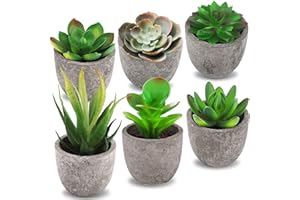 Frasheng 6 Pezzi di Piante Artificiali Succulente in Vaso, Finte,Mini piante grasse,per la decorazione dell'ufficio domestico,Verde