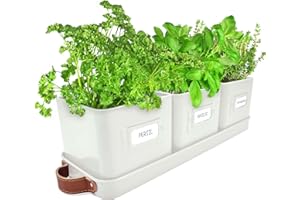 Green Thumbz Jardinière Herbes Aromatiques avec Poignée en Cuir - Idéal pour Basilic en Pot Herbes Aromatiques à Planter - avec Bac de Récupération et Trou de Drainage (Blanc)