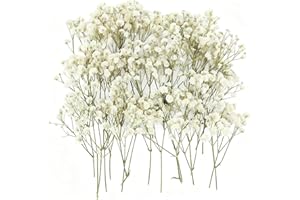 ForestM 100PCS Dried Pressed Flowers, Natural Baby Breath Dried, Gypsophila Mini Breath Flowers, Real Natural Gypsophila for Vase, Crafts, Resin Art Mini Mixed Floral Set for DIY, Wedding Card