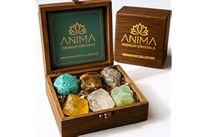 ANIMA Coffret en Pierres Précieuses d’Abondance pour Prospérité, Chance & Succès – Cristaux Naturels Bruts: Citrine, Pyrite, Œil de Tigre, Aventurine, Amazonite & Quartz Clair – Boîte Cadeau en Bois