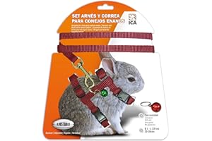 ICA DA1020 Set mit Geschirr und Gurt für Zwerghasen, Rot