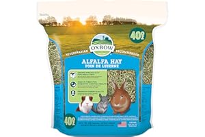 Oxbow Animal Health Fieno Alfalfa, 1130 g