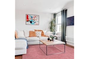 ‎FVVRAX FVVRAX Bereich Teppiche für Schlafzimmer Wohnzimmer, Erröten flauschig Fuzzy Shag Shaggy Teppich weichen Plüsch Teppich, 240x300 cm Indoor-Boden Teppich für Kinder Home Decor Ästhetik