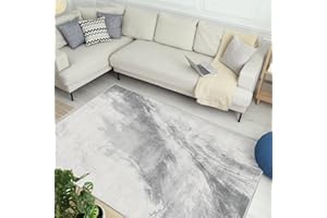 Vamcheer Alfombra Salón Pelo Corto - Alfombras de área Abstractas Modernas Imitación Cachemira,Antideslizantes y Lavable, Decorativas para Dormitorio,Comedor,Pasillo,Interiores (Gris Claro 120x170)