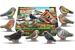 Yellow Door Sensory Play Stones Birds | Set of Eight Realistic Toy Birds | Fake Small World Pretend Play | Robin, Pigeon Figurines | Early Educational Learning | Mud Kitchen | Outdoor Learning