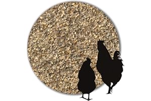 Avesgran 25 kg Magenkies Magengrit Geflügelgrit 2-4 mm