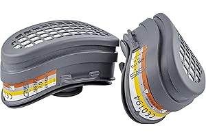 GVS SPR582 Coppia di filtri di ricambio ABE1P3 per Polveri, Gas Organici e Inorganici