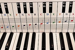QMG Piano & Keyboard Note Chart Use Behind Keys Ideal Visual Tool for Beginners for Any Medium to Full Piano or Keyboard, Covers Four Octaves