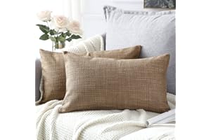 Artscope 2 Pezzi Federe Cuscini in Lino Minimalista Copricuscino Colorato per la Decorazione Domestica Soggiorno Camera da Letto Divano 30x50cm, Marrone