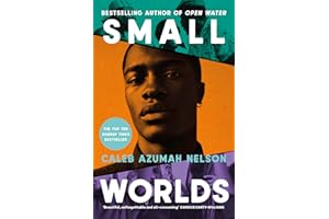 Small Worlds: THE TOP TEN SUNDAY TIMES BESTSELLER