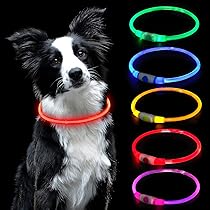 Collare Luminoso Per Cani Joytale - LED Ricaricabile USB, 3 Modalità, Taglia Unica, Rosso - Foto 9