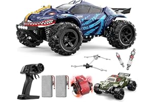 DEERC 9308E 1:16 Auto Telecomando Monster Truck Veloce 40 KPH, RC Camion Dinosauro 4 Ruote motrici Ad Alta Velocità, Auto RC All Terreno 2,4 GHz con 2 Batterie e 2 Custodie per ragazzi