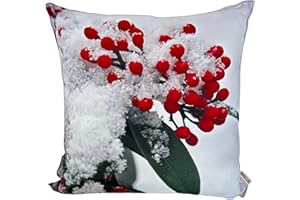 CB Home & Style Outdoor Garten Kissen Wasserabweisend 45 x 45 cm Weihnachten Winter (Weihnachten Beeren)