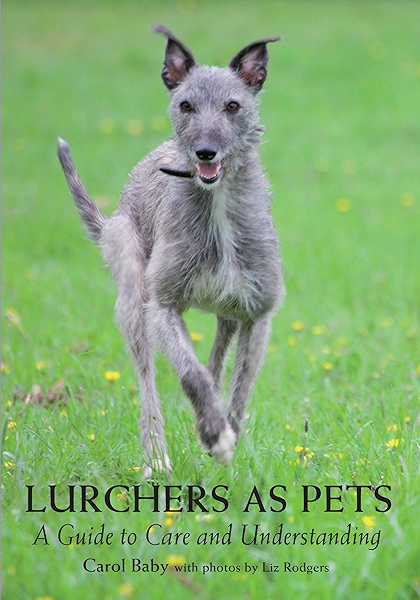 owning a lurcher
