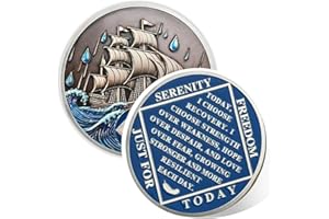 ‎ATSKNSK Braving The Storm 2 Jahr Nüchternheit Münze – Nautische NA Münze, Sucht Erholung 2 Jahr Nüchtern Chip, Jubiläum Token, Narcotics Anonymous Nüchternheit Geschenke für Frauen & Männer