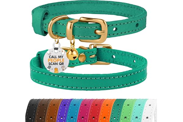 BRONZEDOG Collier pour Chat en Cuir avec Médaille QR-ID Amovible – Collier pour Chaton avec Grelots, Non-Anti-Étranglement, pour Femelles & Mâles (Vert & Or, 18-22 cm)