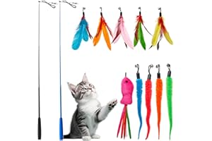 Toozey Katzenspielzeug 12 Stück, Katzenangel mit 2 STK Versenkbare, 10 Katzen Spielzeug Ersatzfedern, Katzenspielzeug Selbstbeschäftigung mit Feder/Bug/Fisch Glocke, Interaktives Katzenspielzeug Set