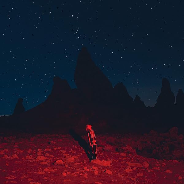 洋楽 Phoebe Bridgers STRANGER IN THE ALPS LP Stranger in the Alps Black Vinyl LP – Phoebe Bridgers