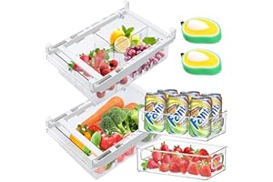 JOYBOY Kühlschrank Schubladen,Kühlschrank Organizer Schublade und 2 Kühlschrank-Behälter+2 Reinigungsbürsten,30.5x20x9.5cm,Ausziehbarer Aufbewahrungsbox Schubladen mit Griff(4 Stück)