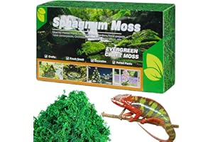 OMJMYY 300 g torfowca, mech sphagnum do roślin, storczyków, terrarium, ziemia do kwiatów, torfowiec premium, naturalny mech dla gadów, żywych gekonów, węży, żółwi, żab, 300 g